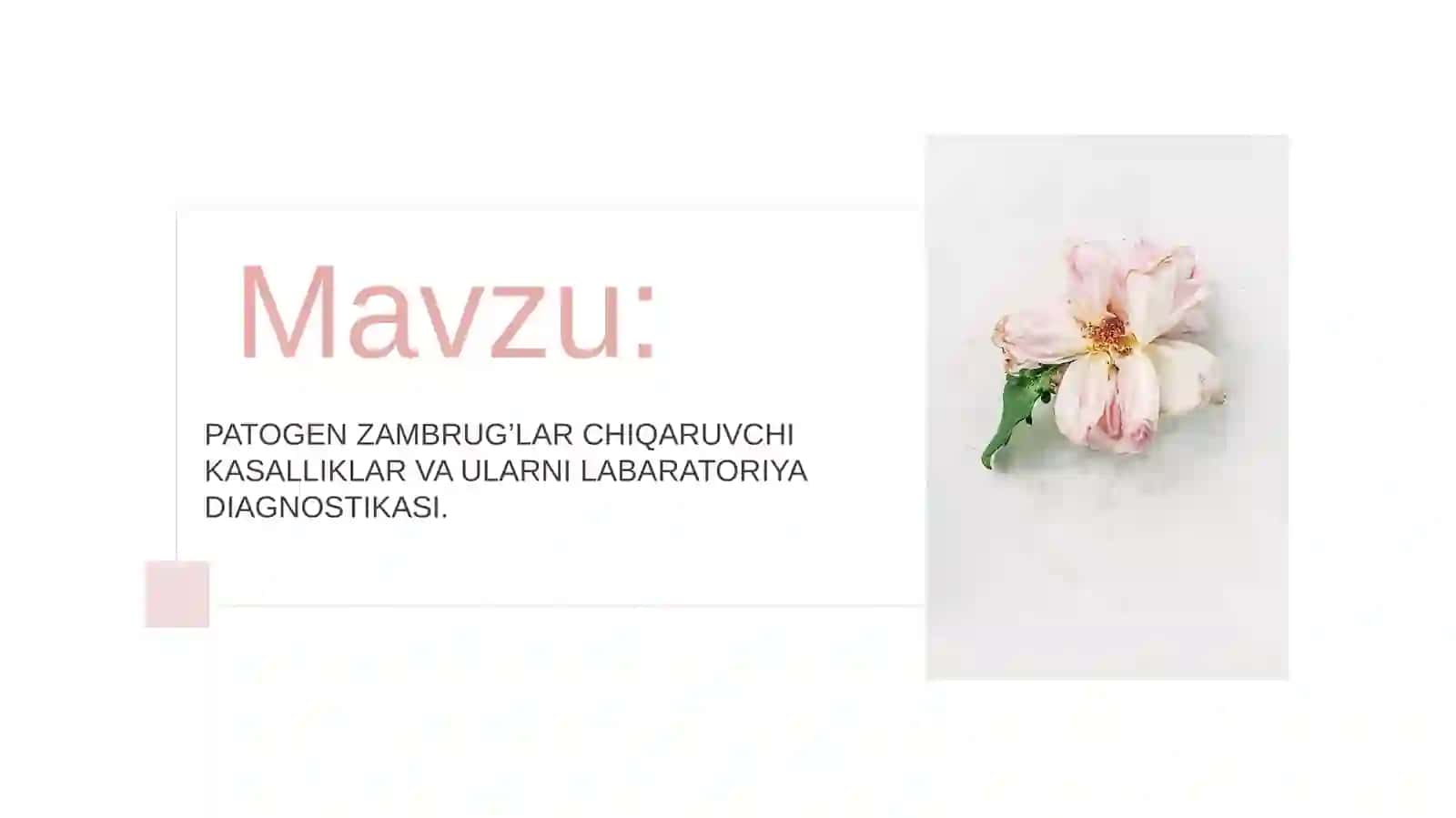 PATOGEN ZAMBRUG’LAR CHIQARUVCHI KASALLIKLAR VA ULARNI LABARATORIYA DIAGNOSTIKASI 2