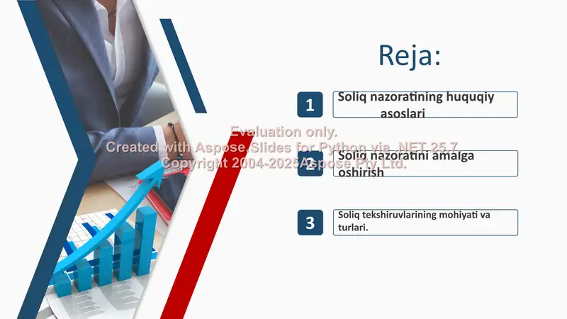 Soliq nazorati 2