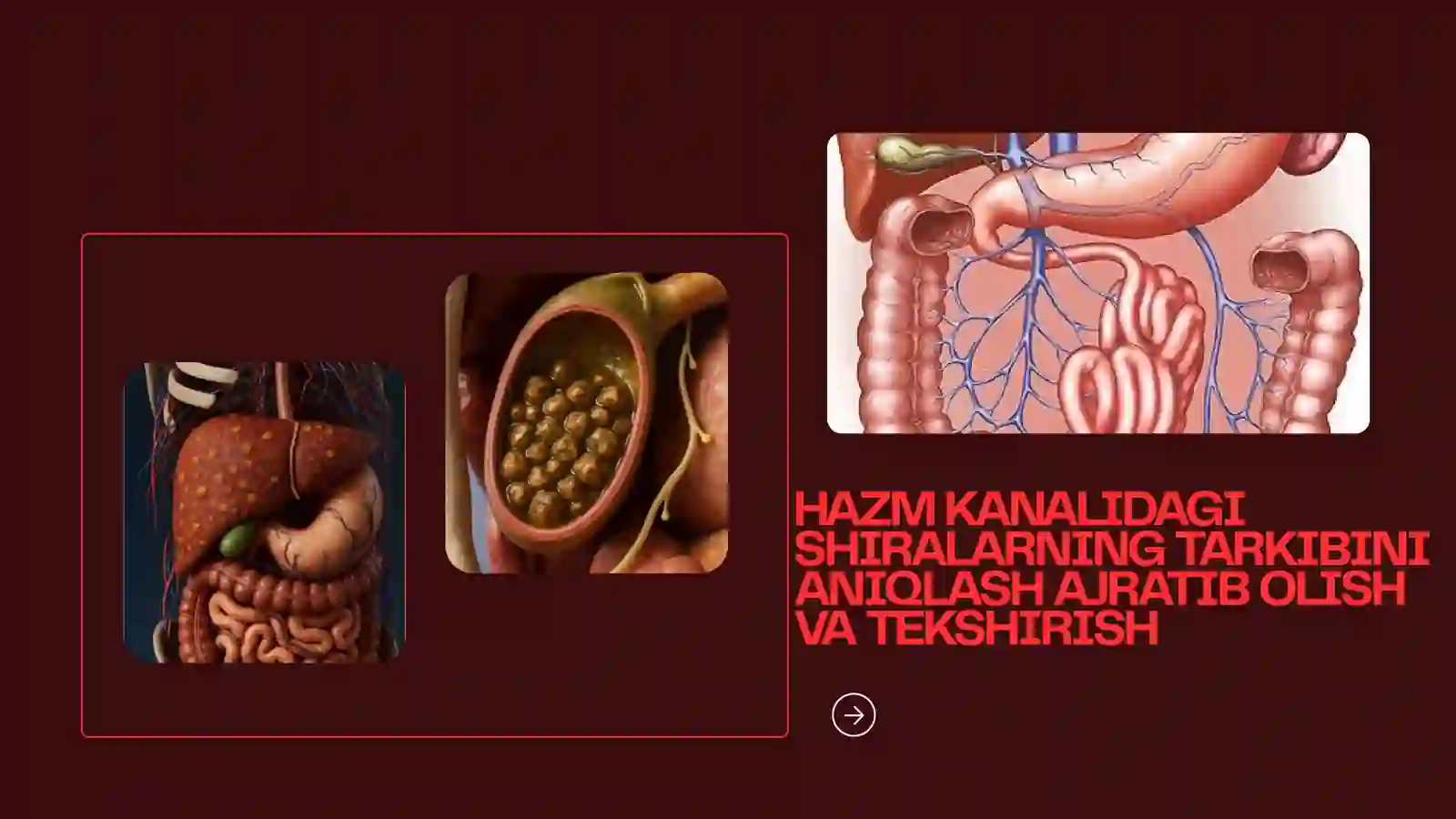 Hazm shiralari 2