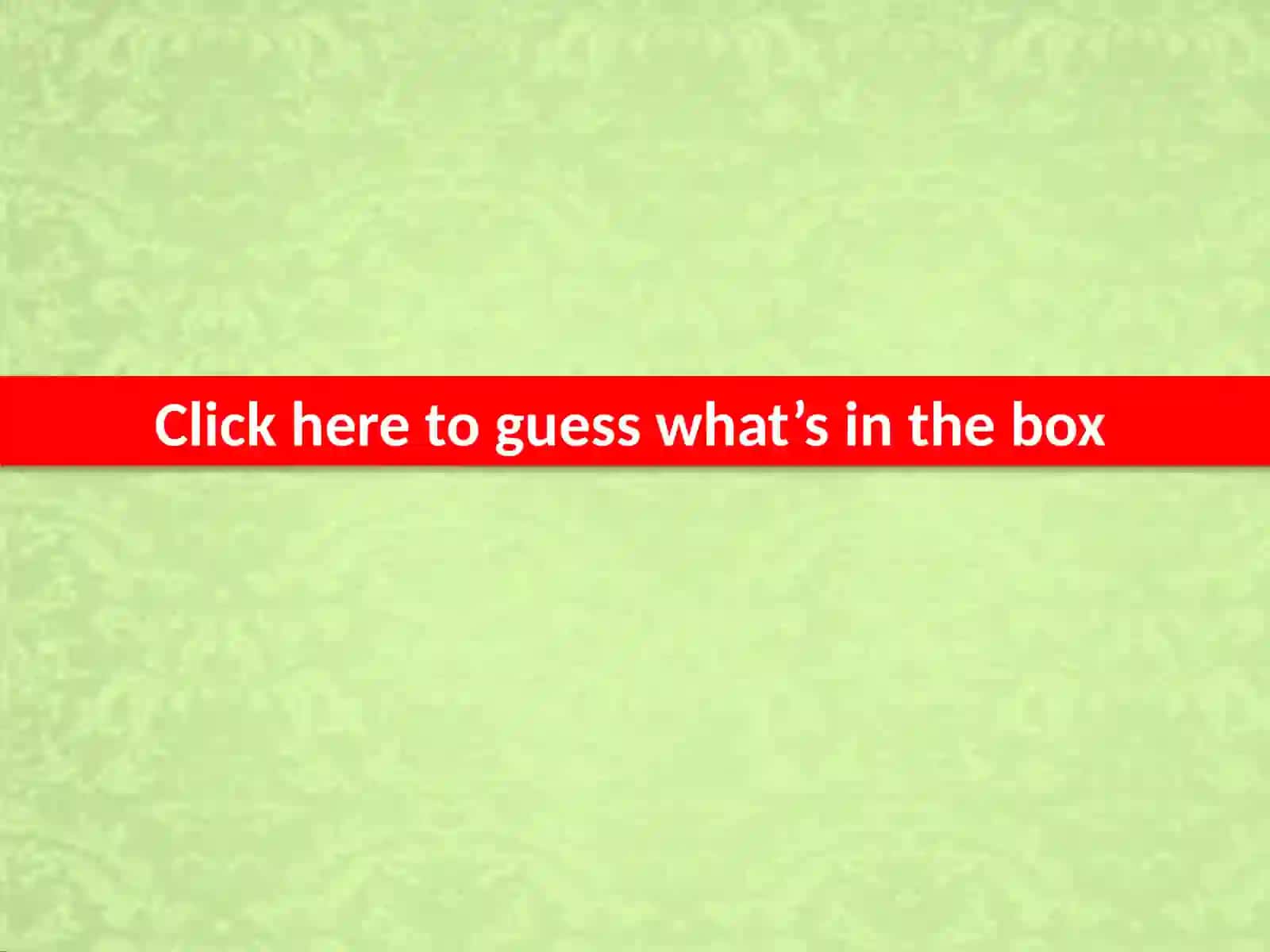 GUESSING GAME ON TOYS 2