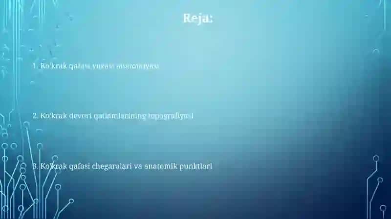 Ko'krakning yuza sohalari, chegaralari qavatlar topografiyasi 2
