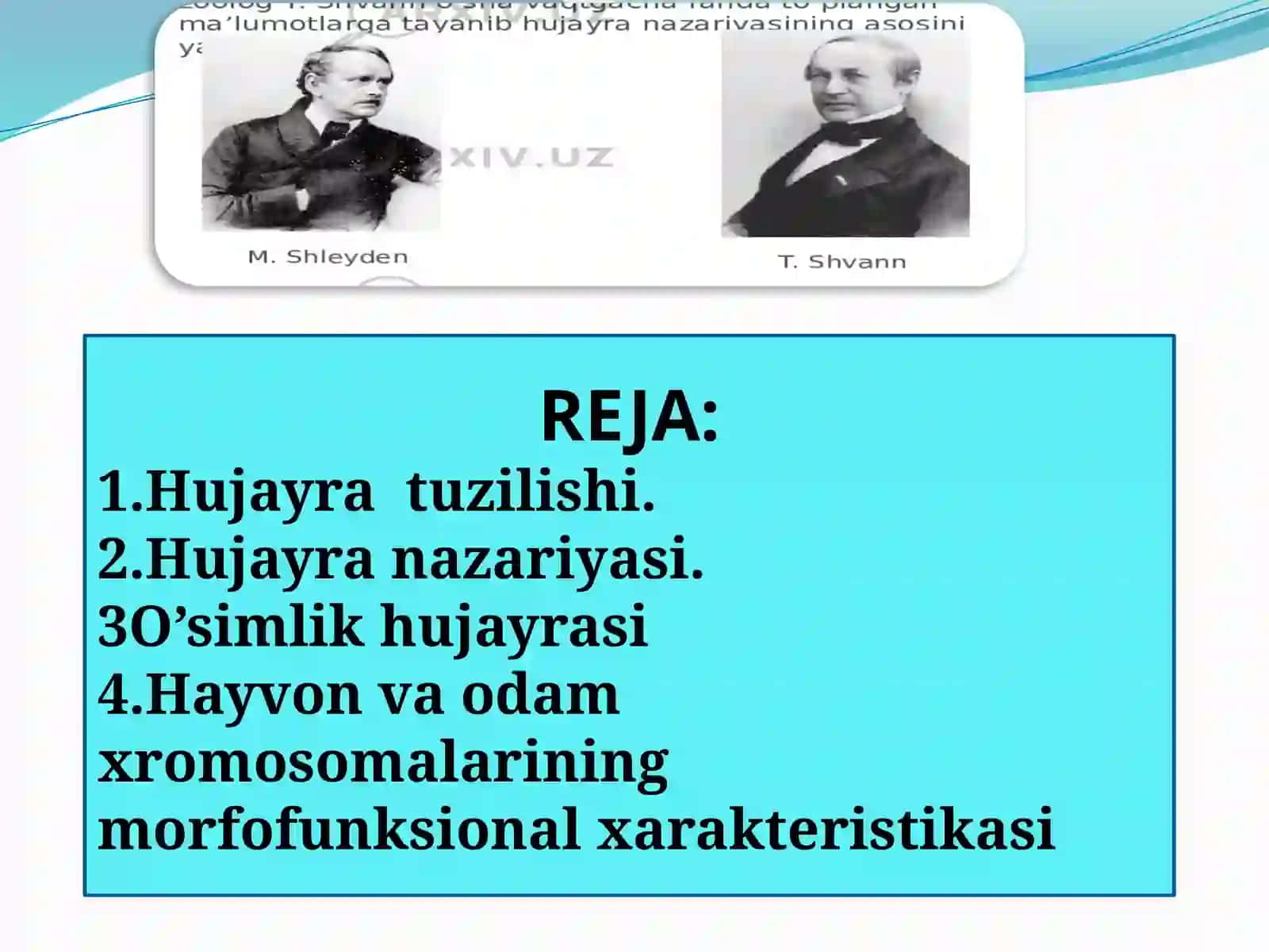 Hujayratuzilishi, Hujayranazariyasi, O’simlikhujayrasi, Hayvonvaodamxromosomalariningmorfofunksionalxarakteristikasi 2