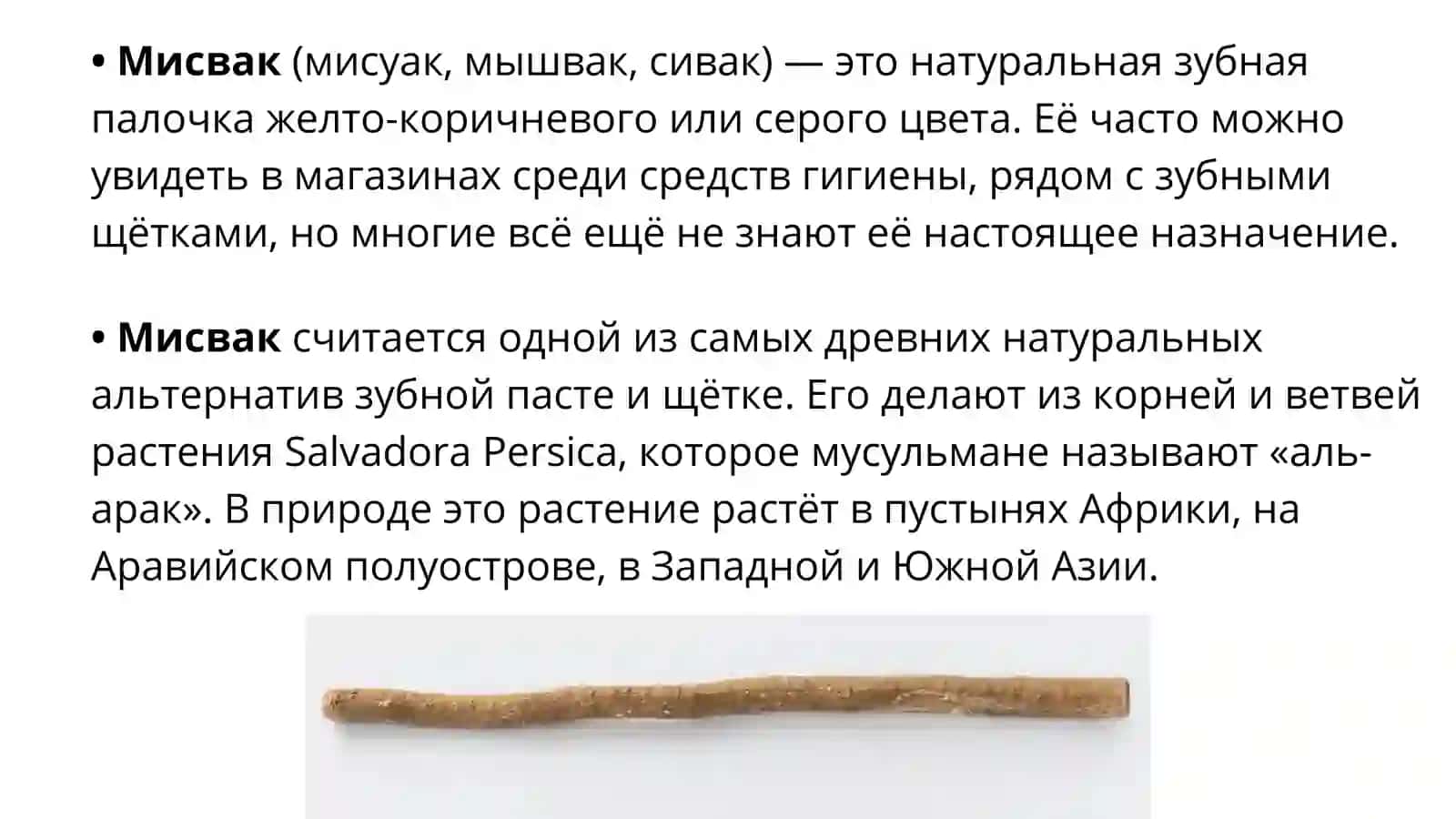 Мисвак 2