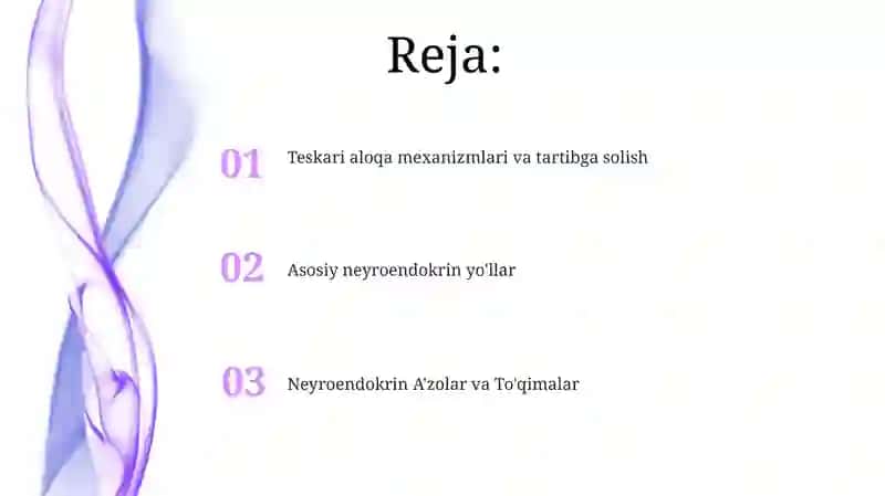 Neyroendokrin tizimining struktur funksional tavsifi 2