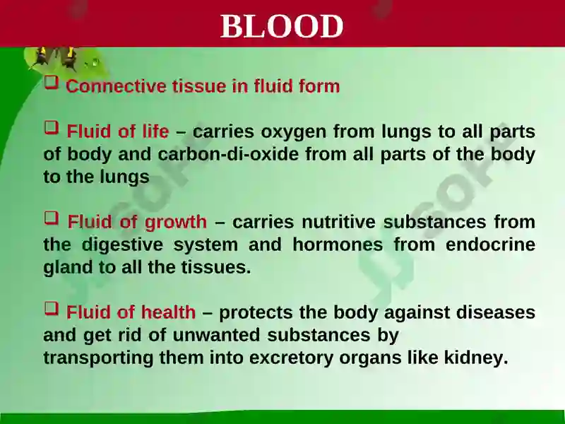 Blood 2