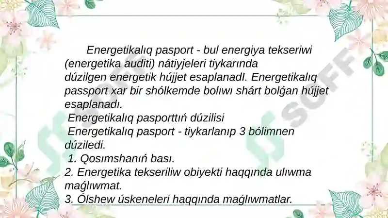 Energetik Pasport 2