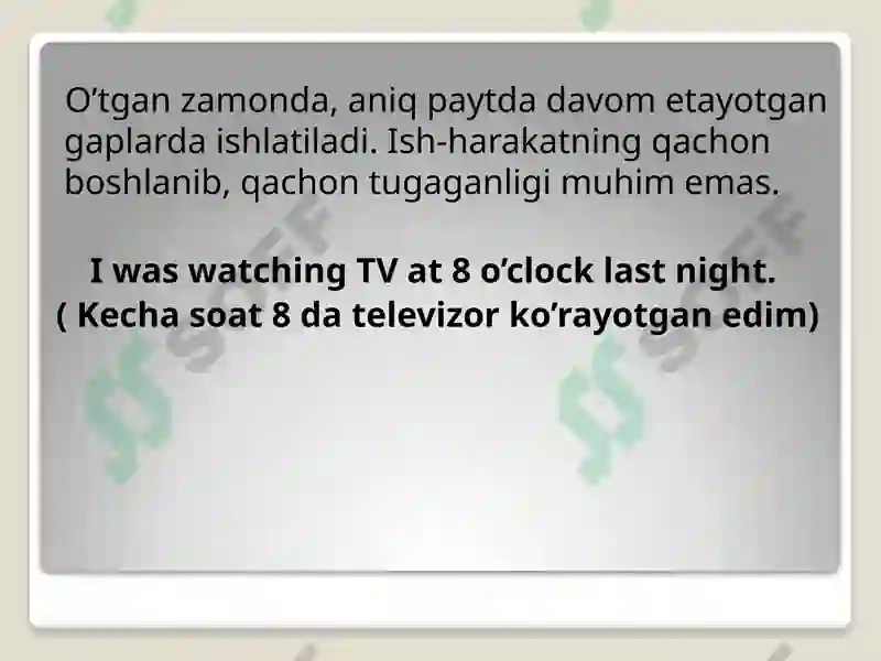 Past Continuous Tense 2