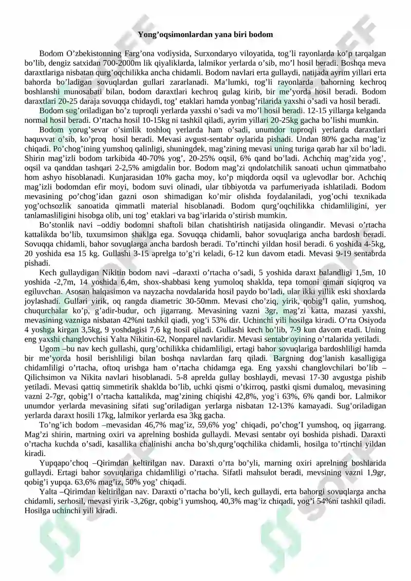 Zig'ir tolasi 2