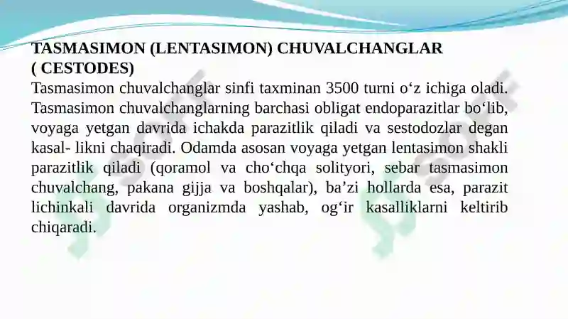 TASMASIMON (LЕNTASIMON) CHUVALCHANGLAR 2