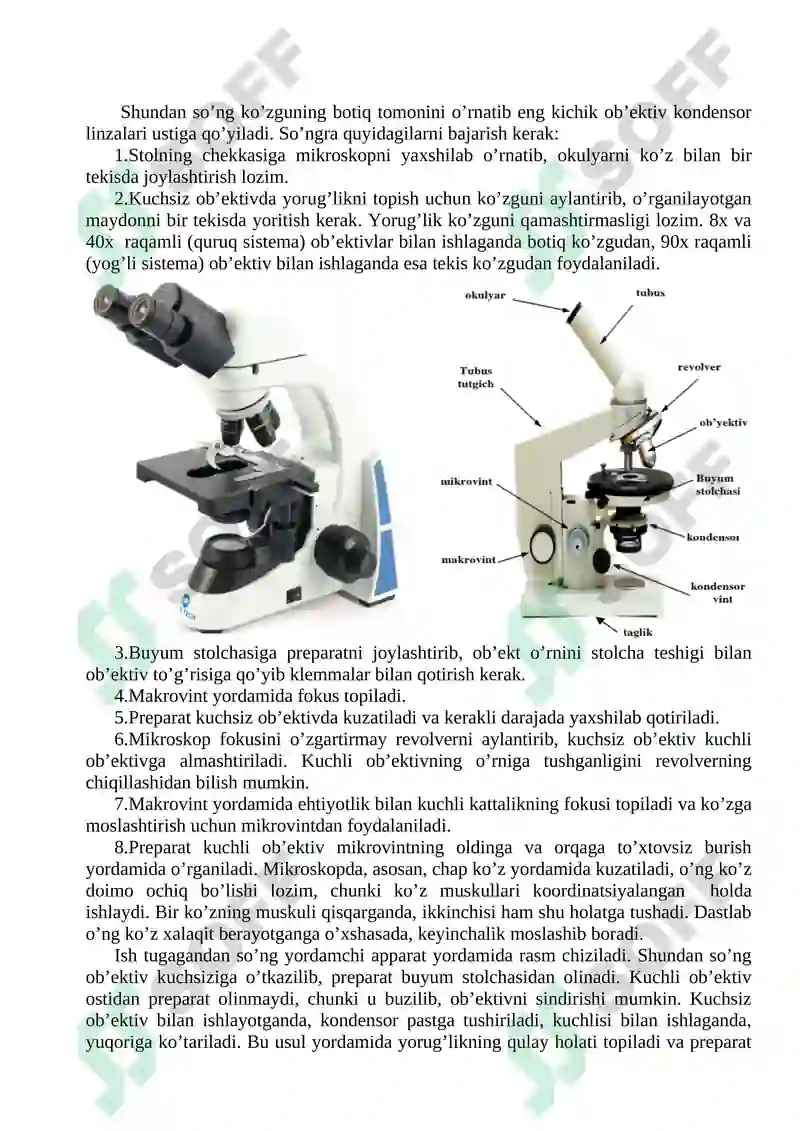 MIKROSKOPNING TUZILISHI. MIKROSKOP  BILAN ISHLASH QOIDALARI. 2