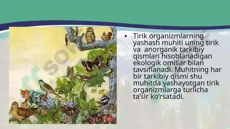 MAKROMUHIT OMILLARI DEMOKRATIK IQTISODIYOT TABIAT OMILLARI ILMIY TEXNIK OMILLAR, SIYOSIY HUQUIY OMILLAR 2