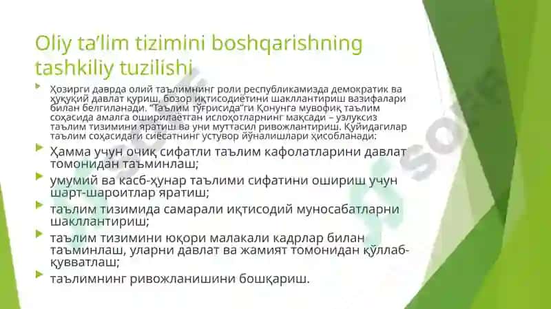 Oliy ta’lim tizimini boshqarishning tashkiliy tuzilishi 2