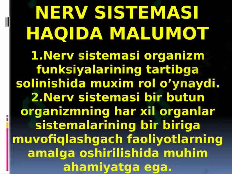 Nerv sistemasi, Bosh miya. 2