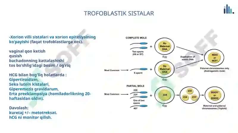 Trofoblastga bogliq holatlar 2