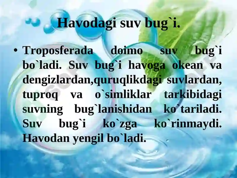 Havodagi suv bug`i 2