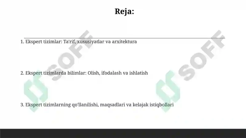 Ekspert tizimlari 2