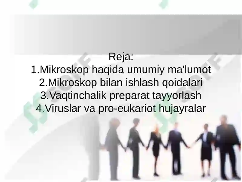 Mikroskop 2
