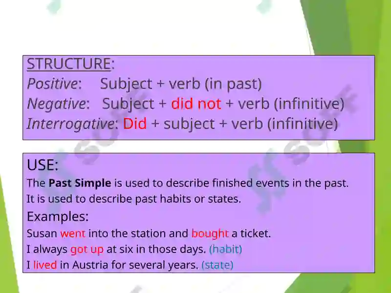 Past Continuous 2