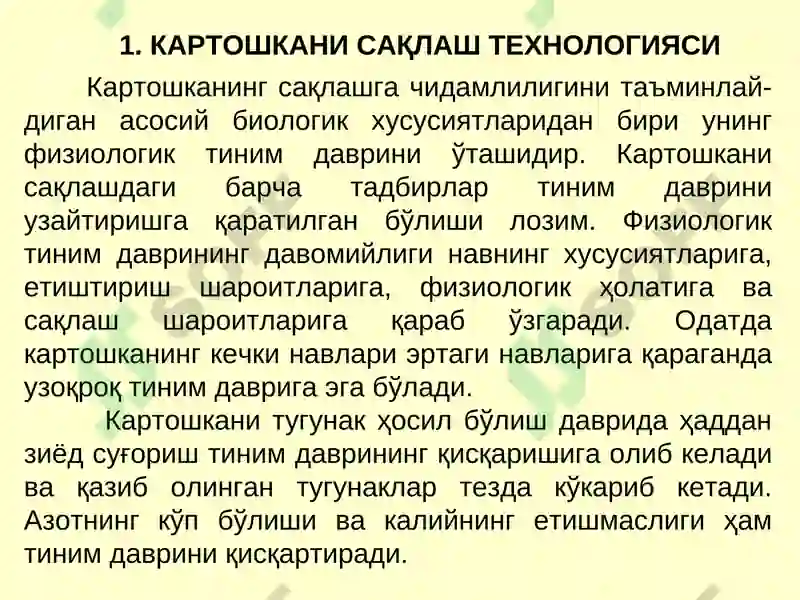 Картошка ва полиз маҳсулотларини сақлаш технологияси 2