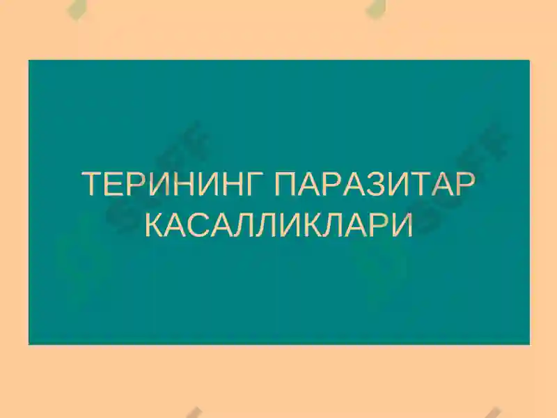 Терининг паразитар касалликлари 2