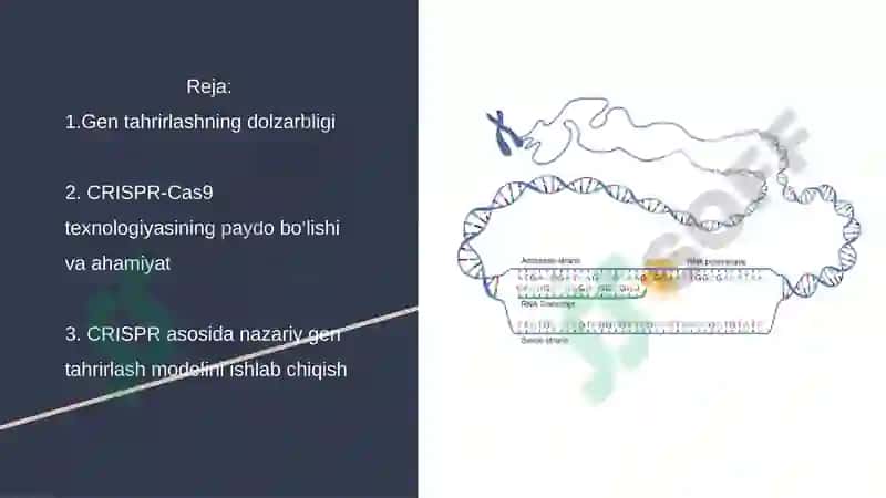 CRISPR texnologiyasi asosida nazariy gen tahrirlash loyihasini yaratish 2