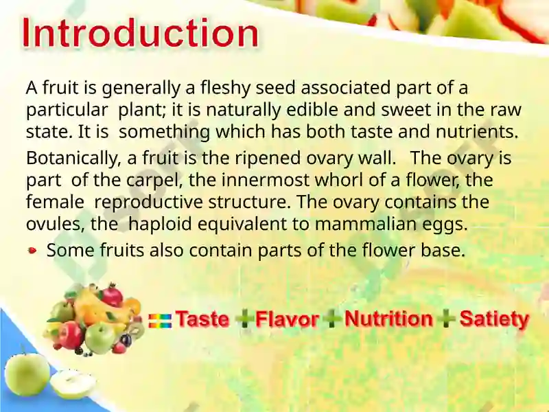 Fruits Classification 2