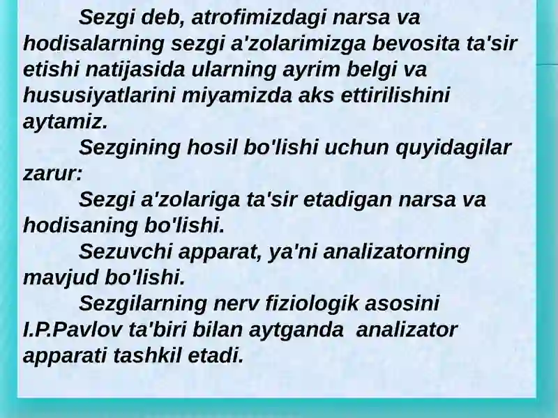 Sezgi 2