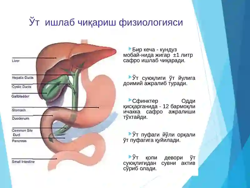 Ўт тош касаллиги 2