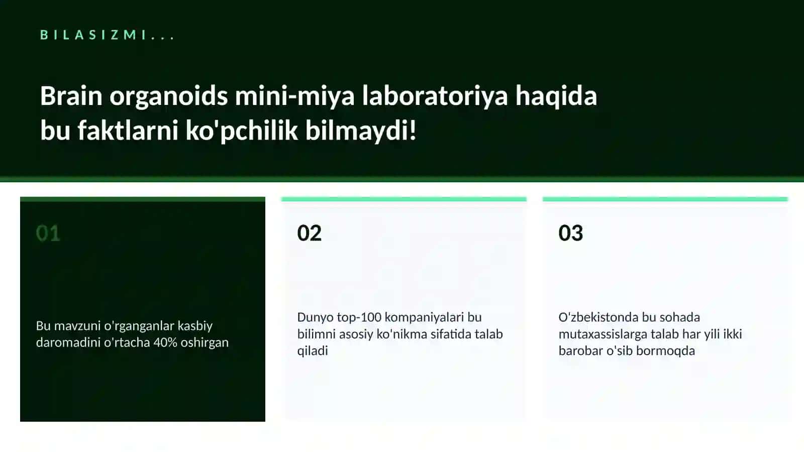 Brain organoids mini-miya laboratoriya 2