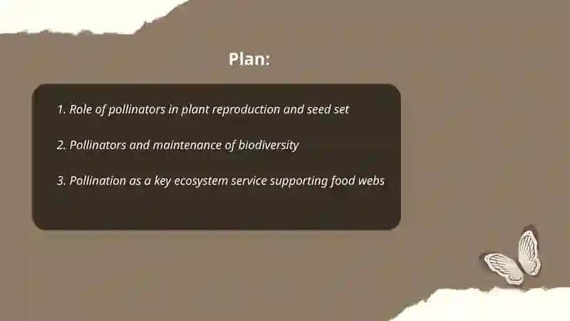 Understanding the role of pollinators in our ecosystem 2