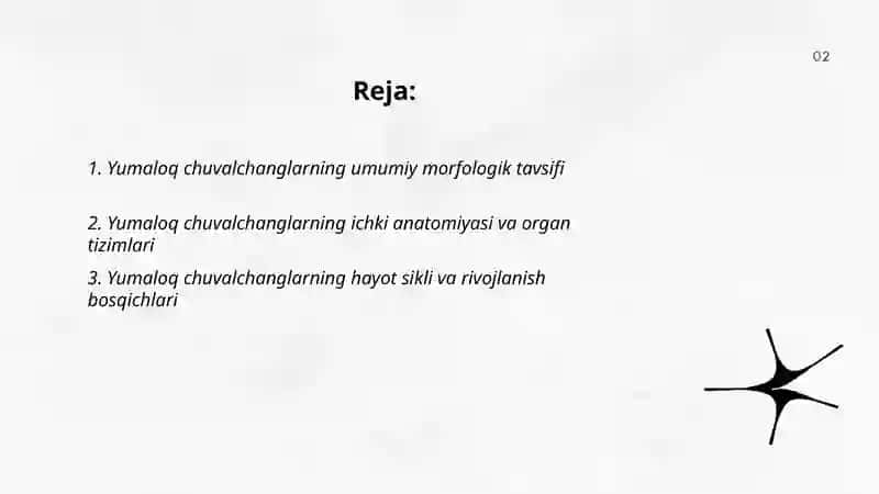 Yumaloq chuvalchanglar tipi tavsifi va klassifikatsiyasi 2