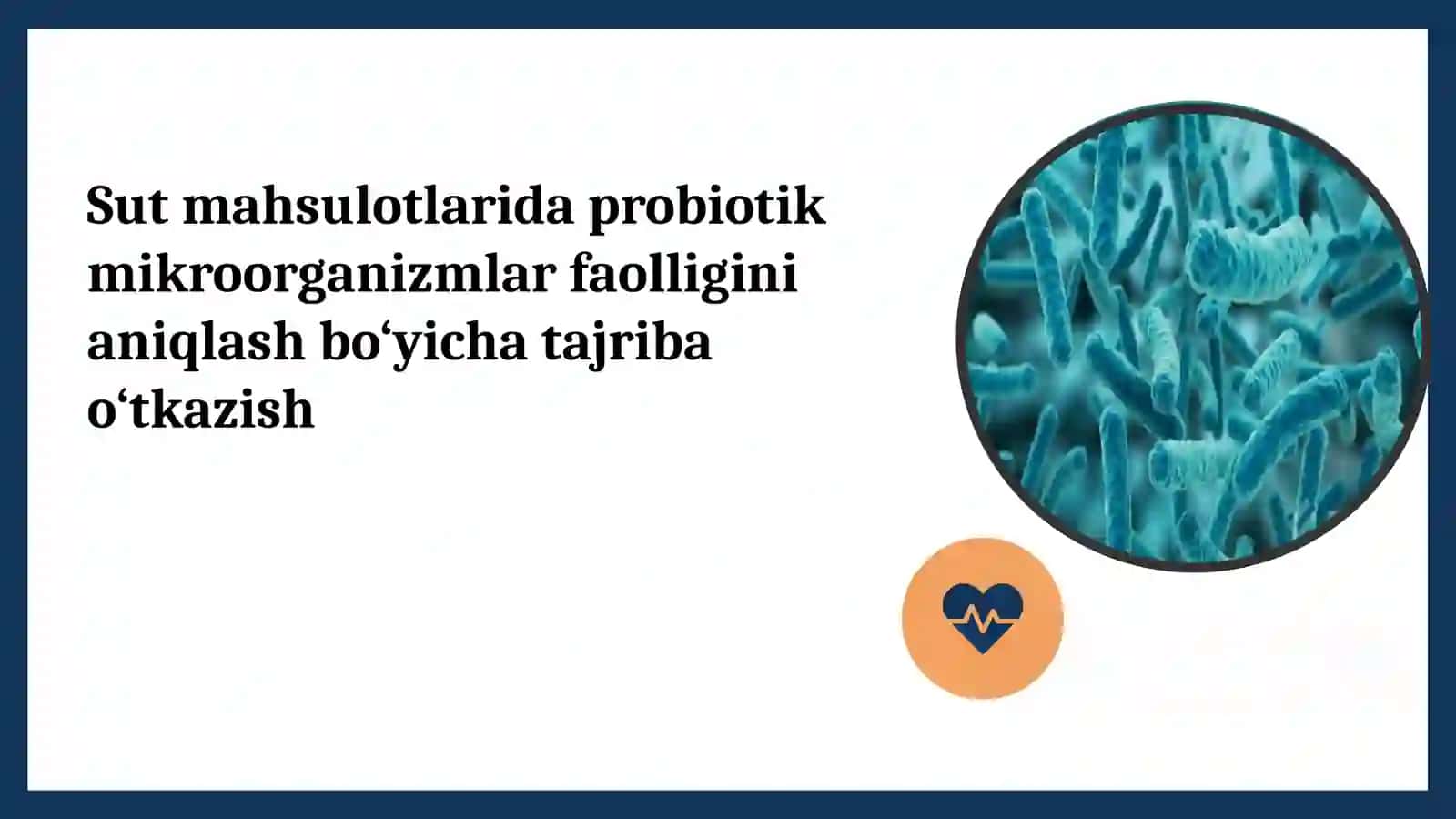 Sut mahsulotlarida probiotik mikroorganizmlar faolligini aniqlash bo‘yicha tajriba o‘tkazish 2