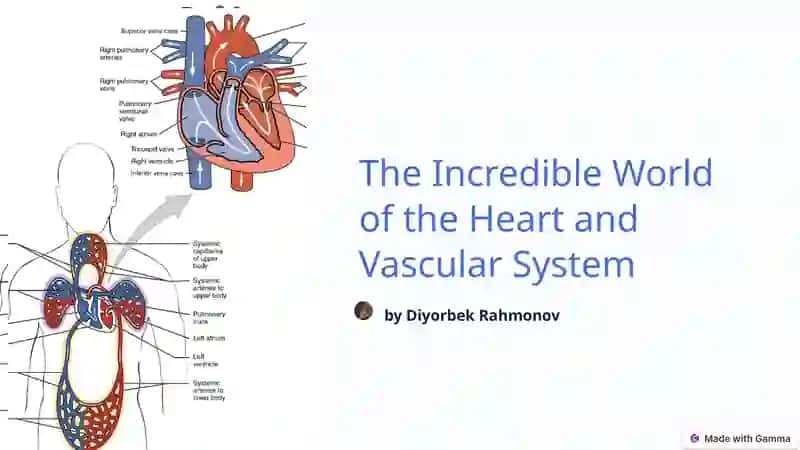 The Incredible World of the Heart and Vascular System 2