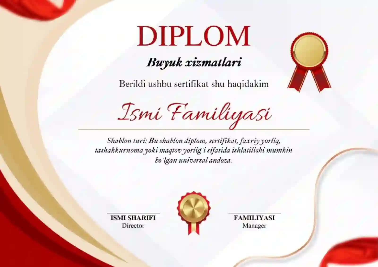 DIPLOM 2