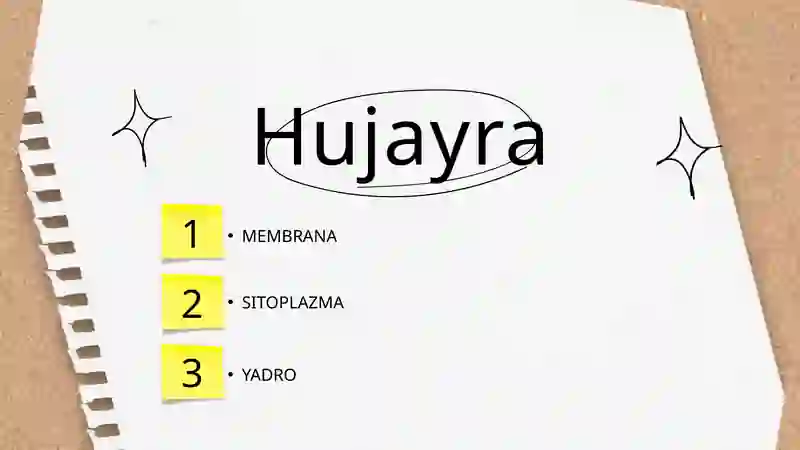 MEMBRANA 2