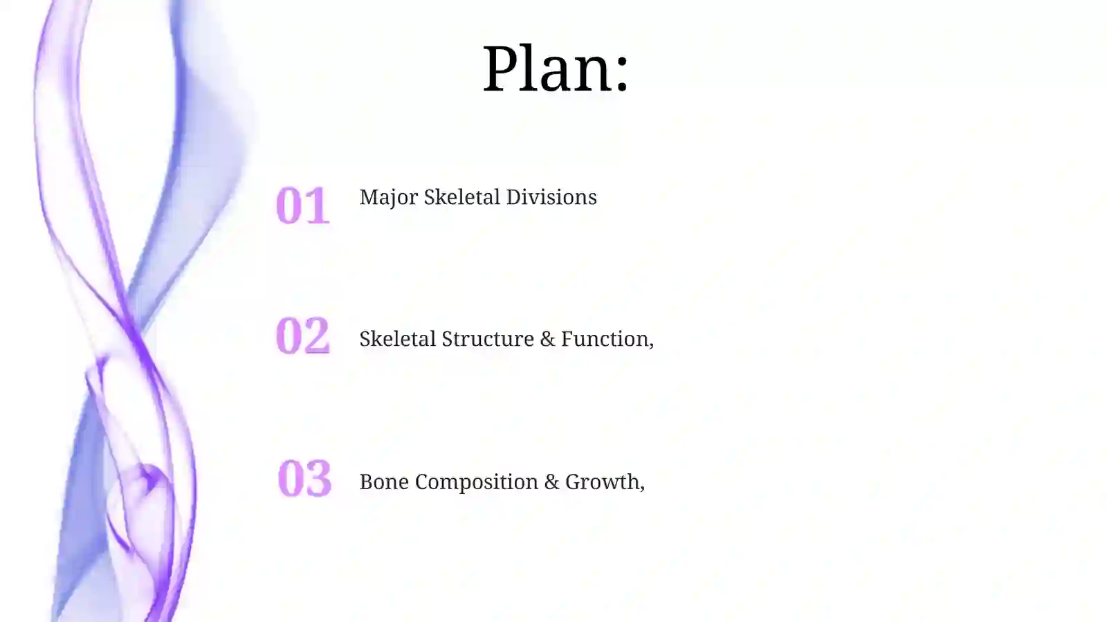 Skeletal system of a human being 2