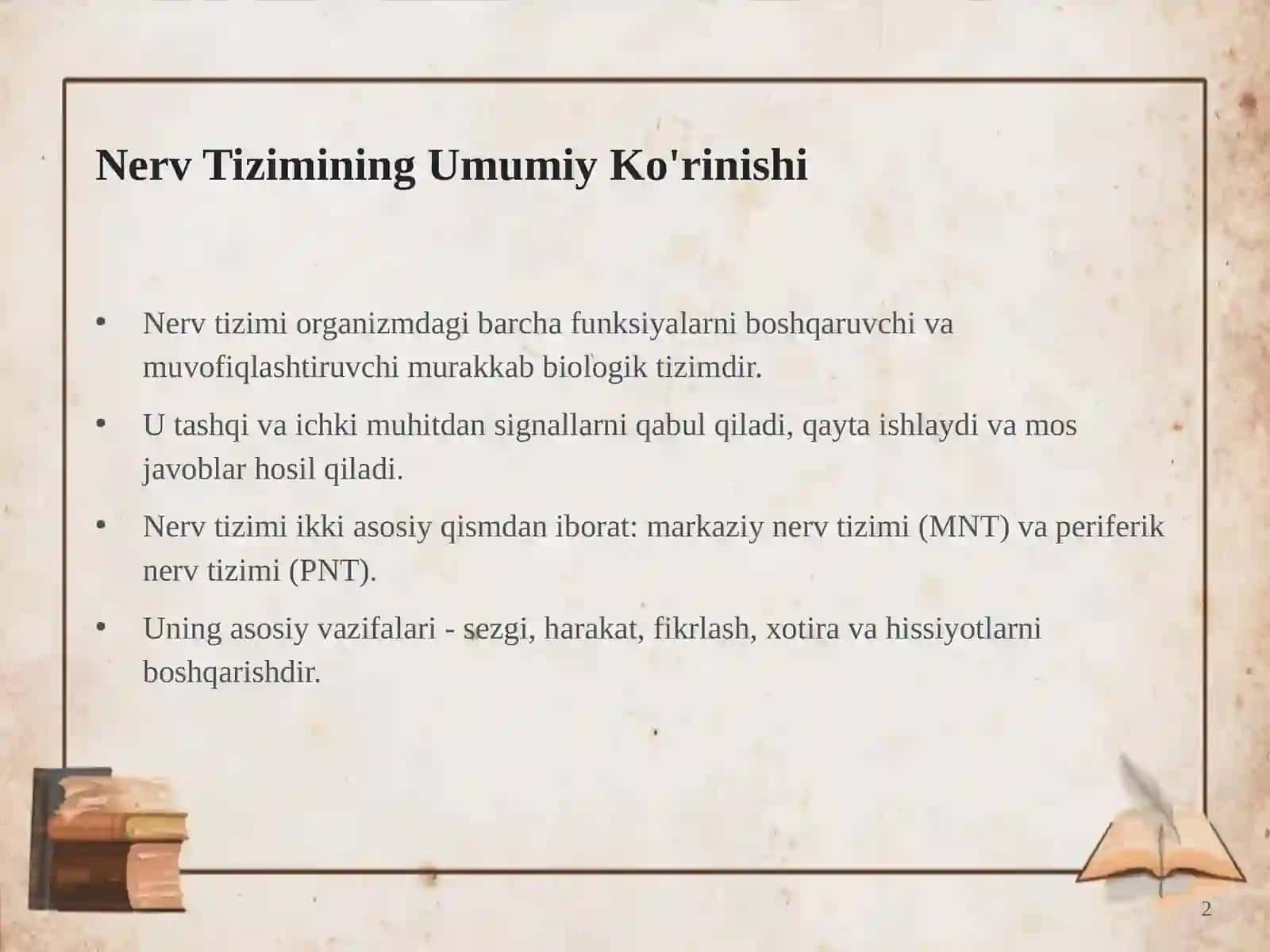 Nerv Tizimi: Umumiy Tasnifi va Taraqqiyot 2
