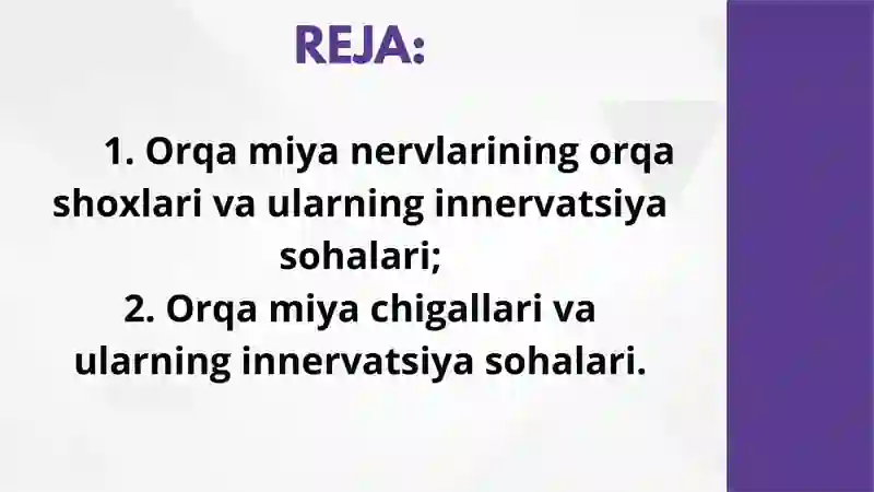 ORQA MIYA NERVLARI 2