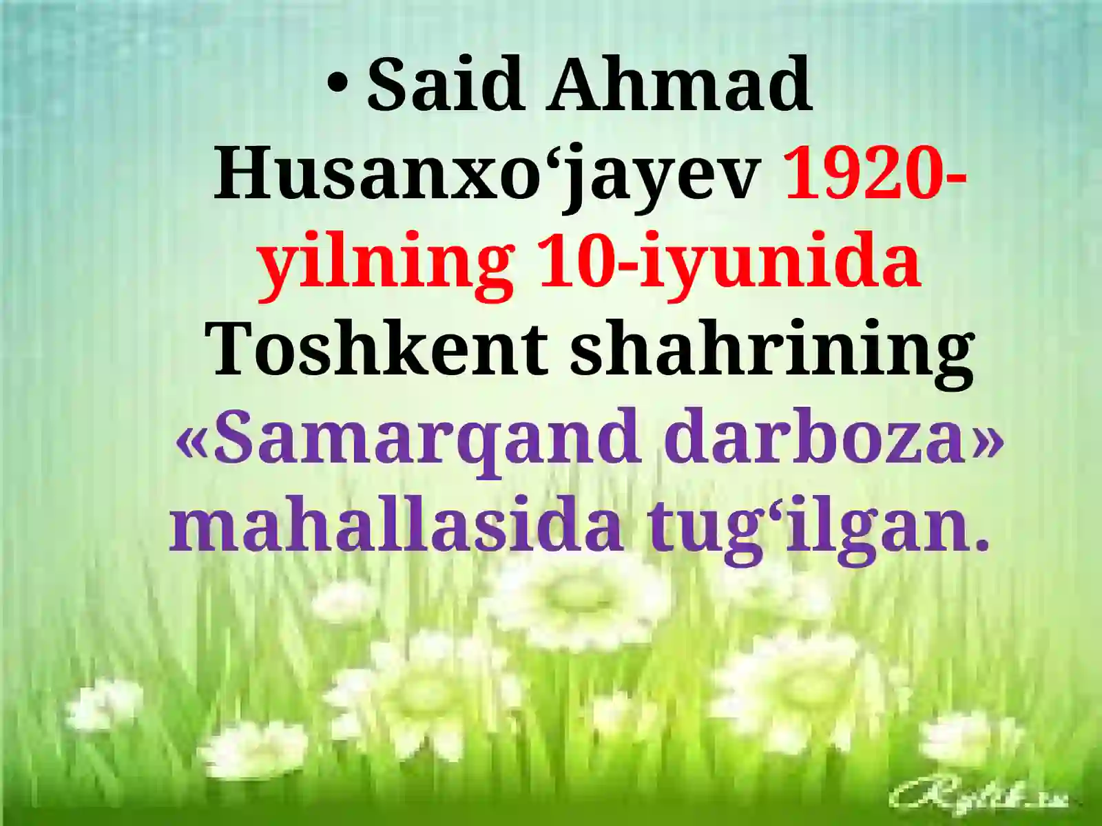 Said Ahmad 2