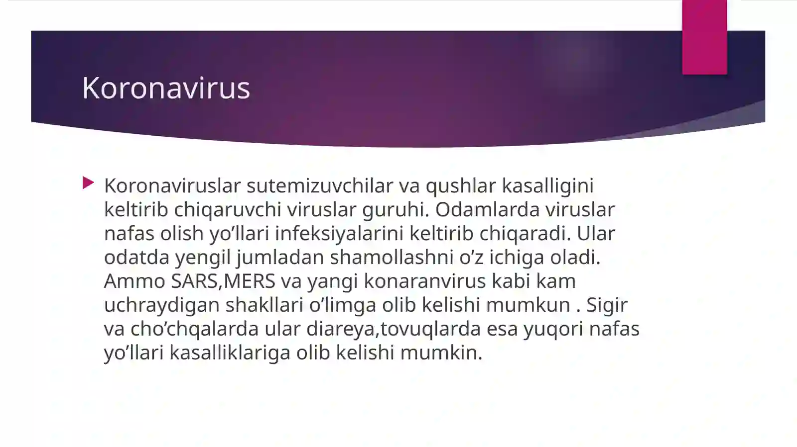Koronavirus 2