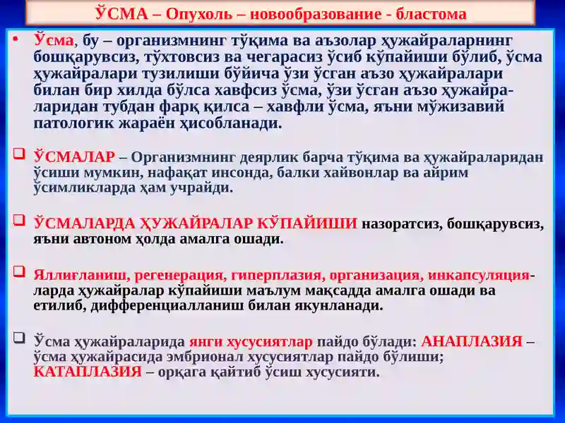 ЎСМАЛАР 2