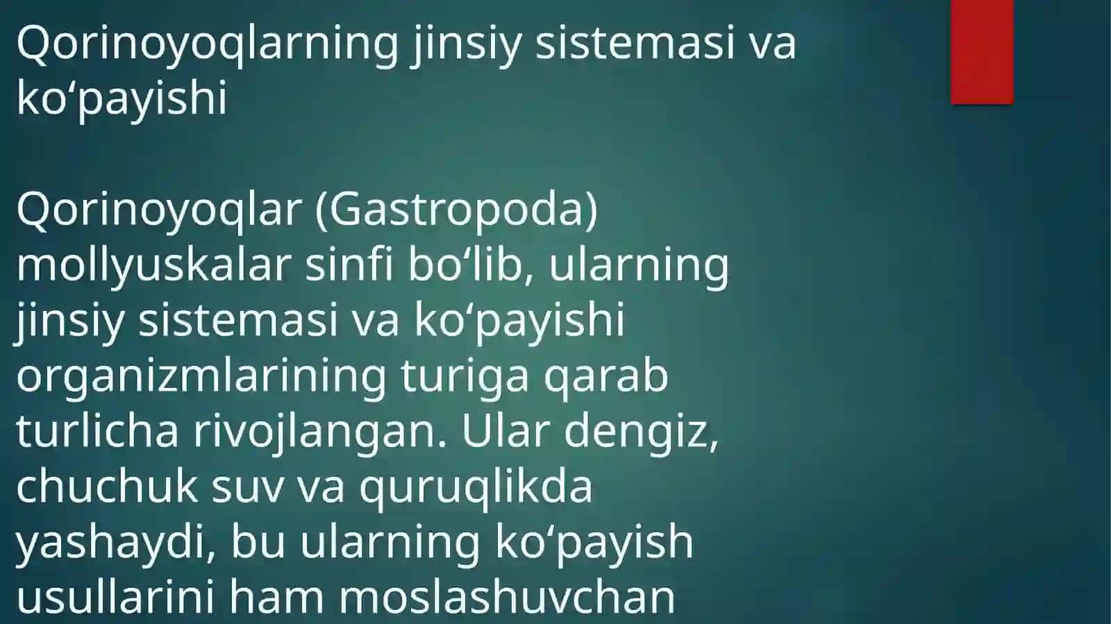 Qorinoyoqlilarning jinsiy sistemasivako’payishi 2