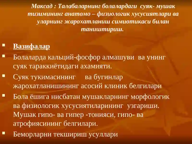 Суяк-мушак тизими 2