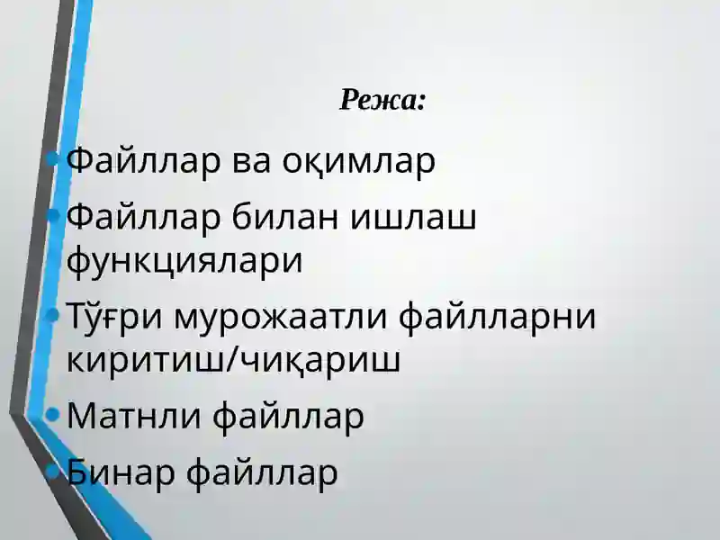 C++ дастурлаш тилида файллар билан ишлаш 2