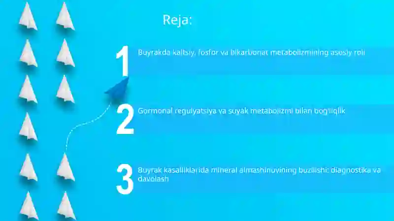Buyrakning kalsiy, fosfor va bikarbonat almashinuvi 2