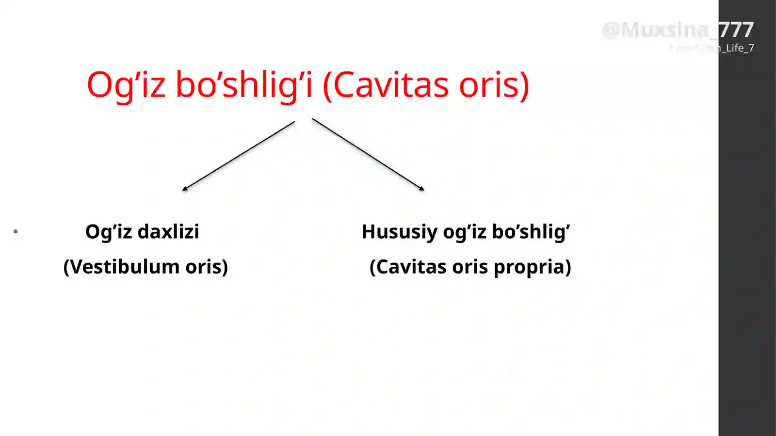 Ogʻiz boʻshligʻi: Ogʻiz dahlizi va xususiy ogʻiz boʻshligʻi 2