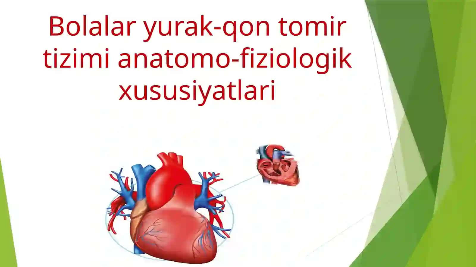 BOLALAR KASALLIKLAR PROPEDEVTIKASI 2