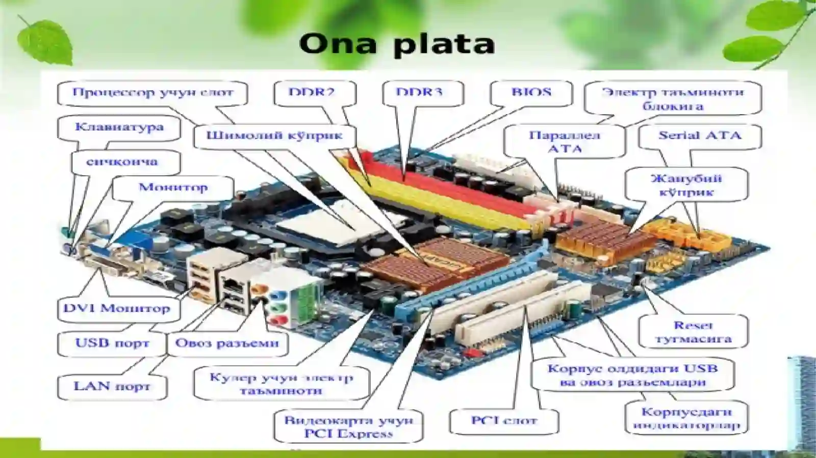 Klaviatura va kursor 2