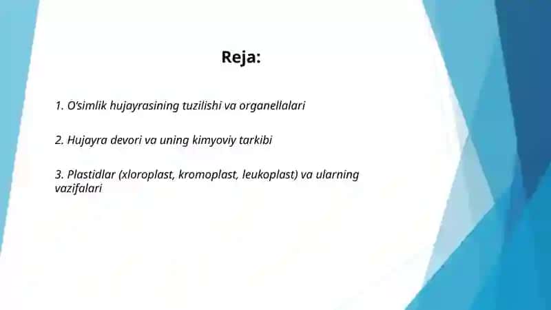 O‘simliklar anotomyasi va fizologiyasi 2