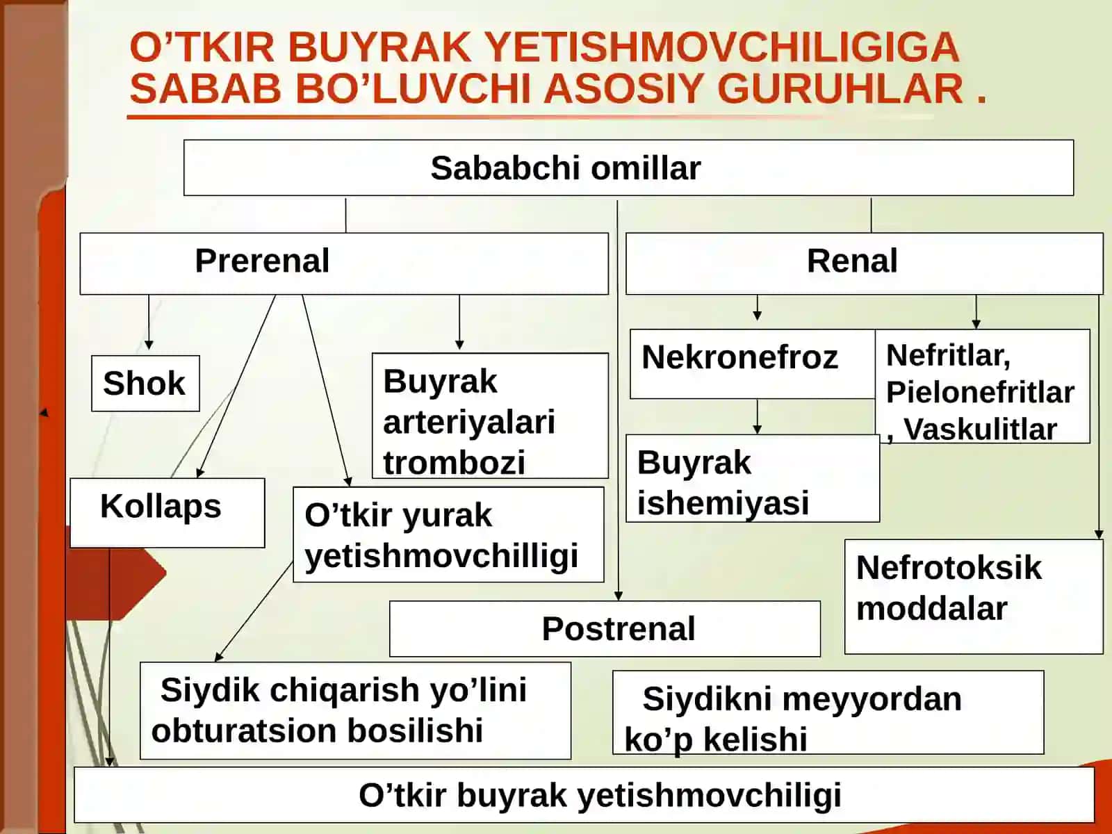 Ma’ruza:Buyrakkasalliklaridagiasosiykliniksindromlar:Nefrotik,Nefritik,Uremik,Gepertoniksindromlar 2